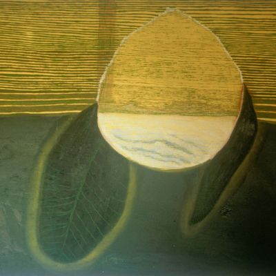Limón 11