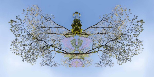 Seres del Aire