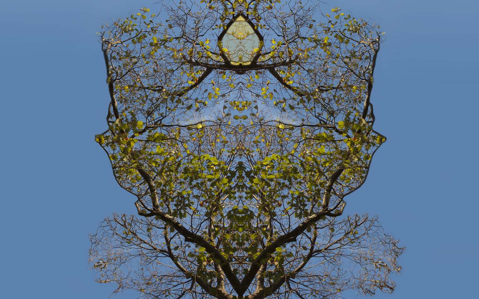 Los habitantes de Gaia